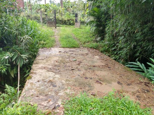Chácara com 5 alqueires, rio, tanque de peixes pelo valor de 295 mil em Morretes - Foto 16