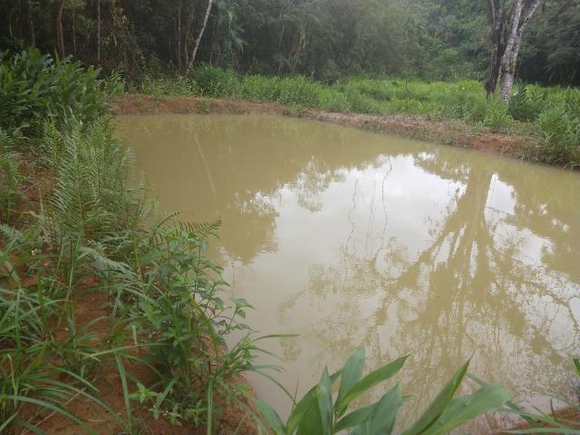 Chácara com 5 alqueires, rio, tanque de peixes pelo valor de 295 mil em Morretes - Foto 2