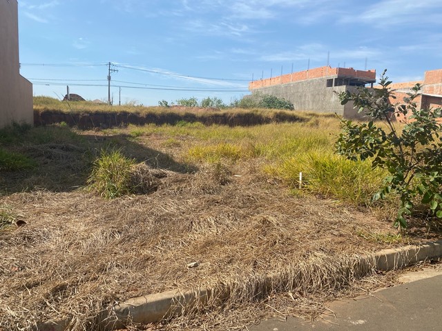 Terreno área nobre - Foto 2