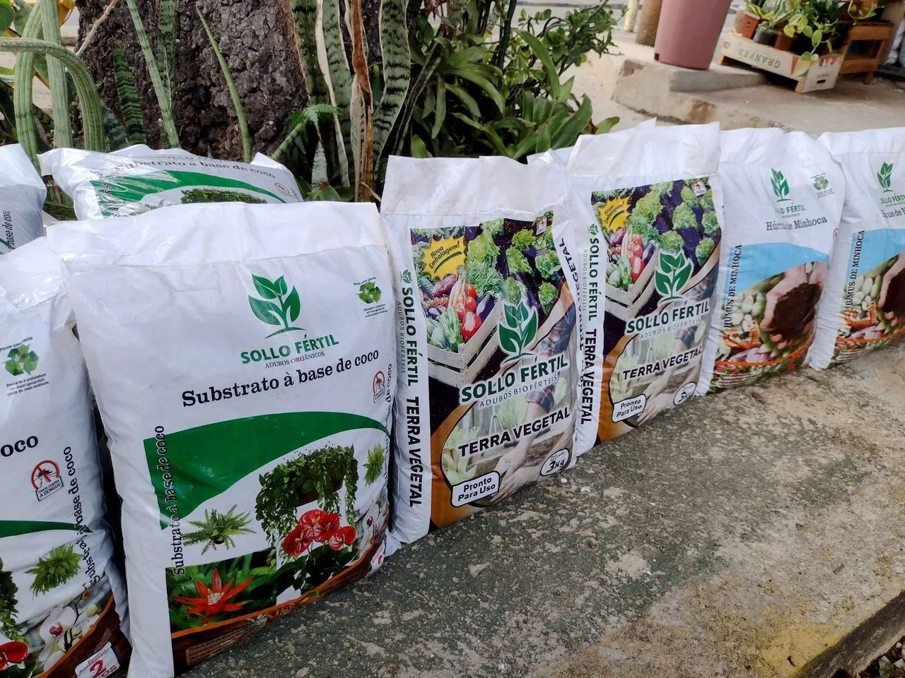 Substrato pra samambaias e orquídeas  - Foto 2