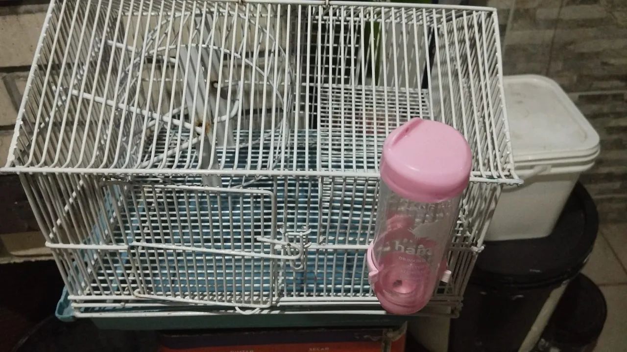 Gaiola para Hamster