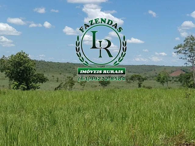 Fazenda 138 Alqueires Próximo a Palmas - Foto 5