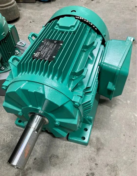 Motor Leroy Somer 30 kW 400 volts 110 Hertz  - Foto 2