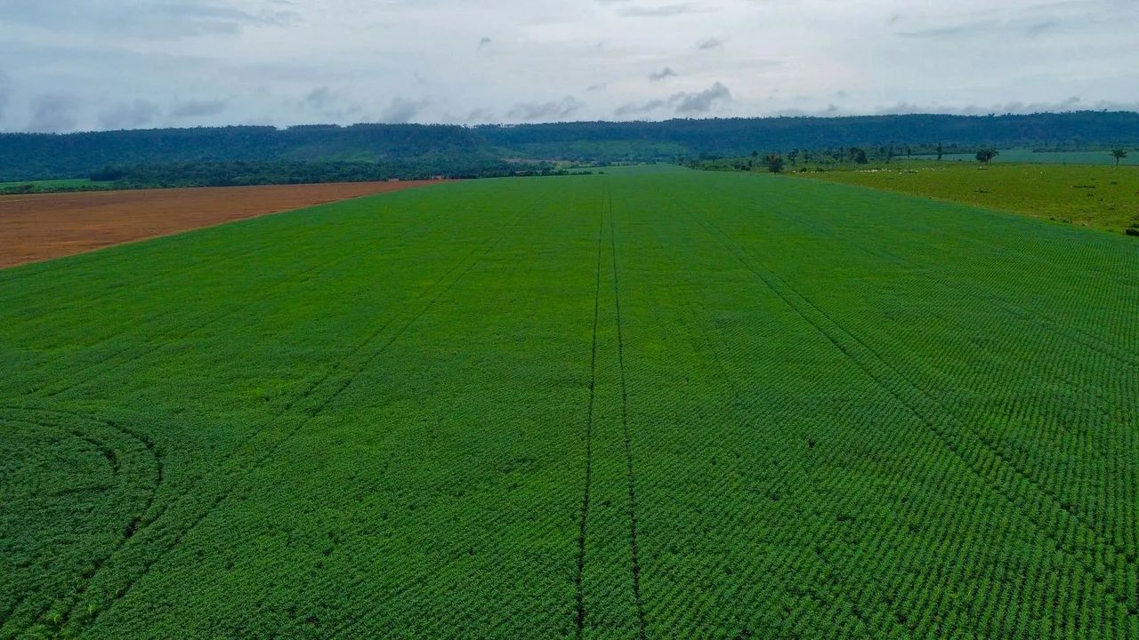 Fazenda 700 hect em União do Norte MT. Pede 800 saca por hec - Foto 3