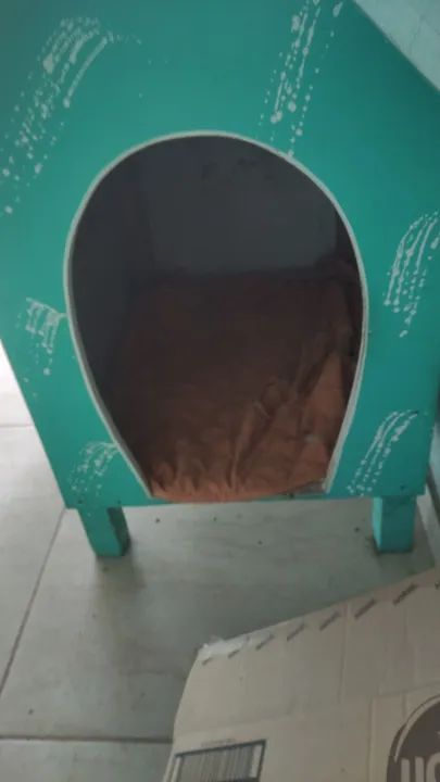 Casinha de cachorro 