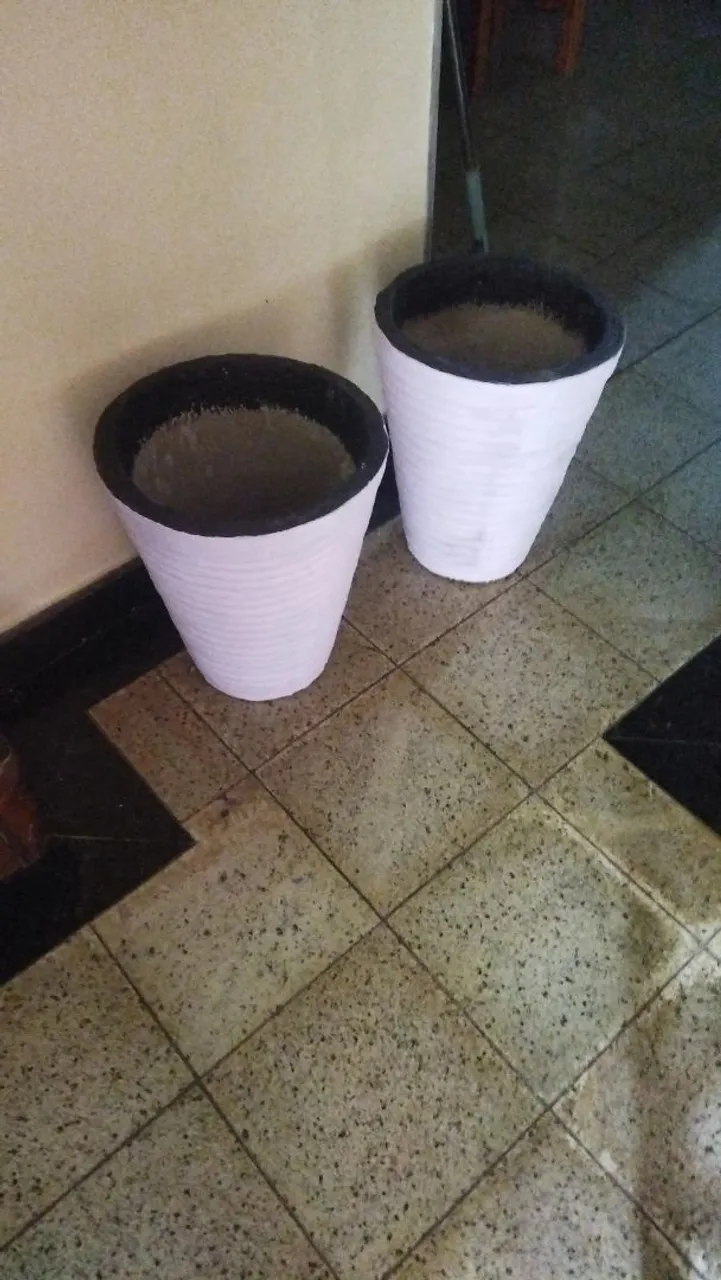 Vasos de plantas