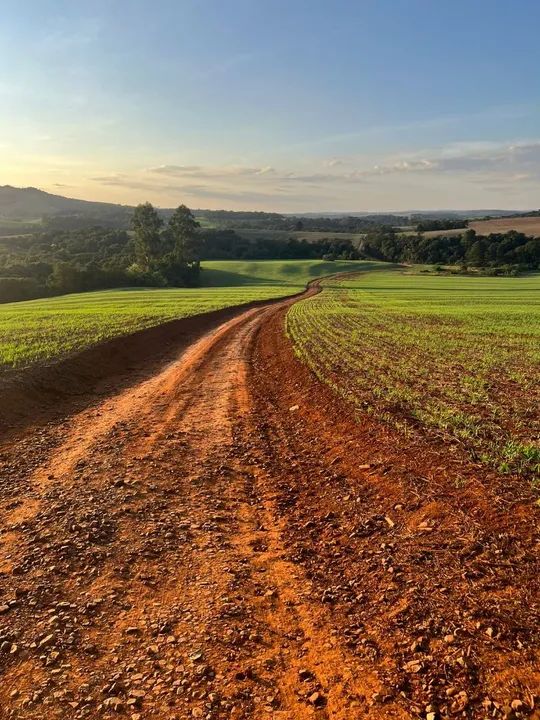 fazenda tem 54 planta 43 - Foto 5