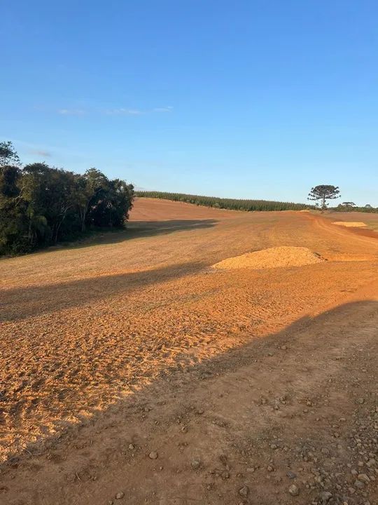 fazenda tem 54 planta 43