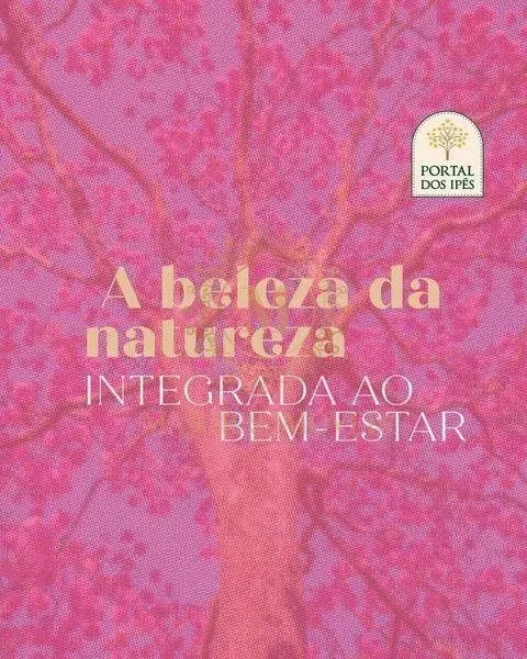 Oportunidade Única de Investimento no Portal dos Ipês Domingos Martins