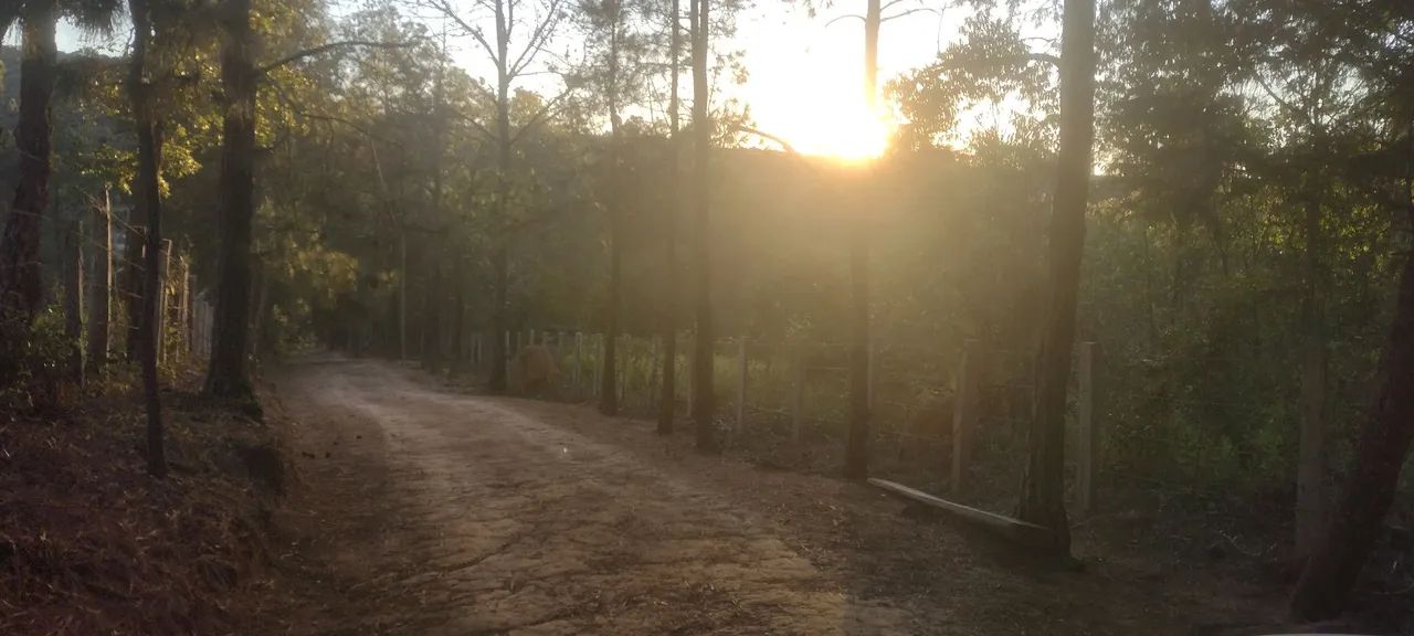 Excelente terreno de 4.000 metros  - Foto 3