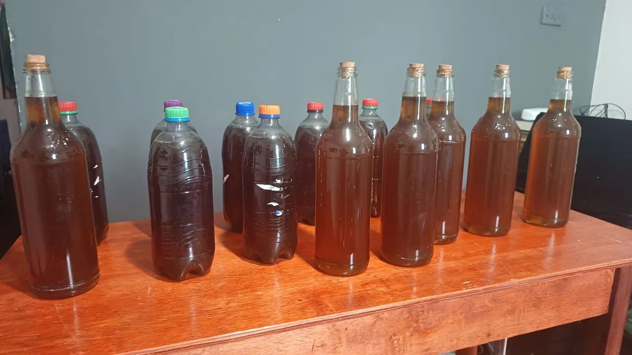 Mel de abelha puro - 10 garrafas