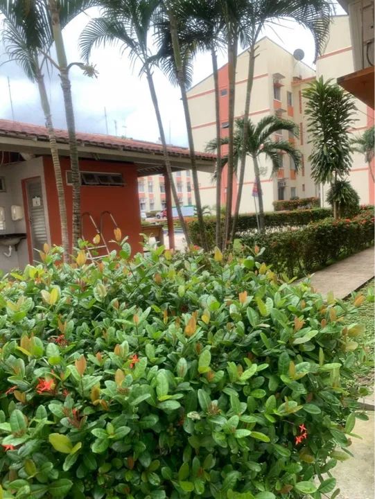 Condomínio Espaço Verde | Alugo | 02 quartos  - Foto 4