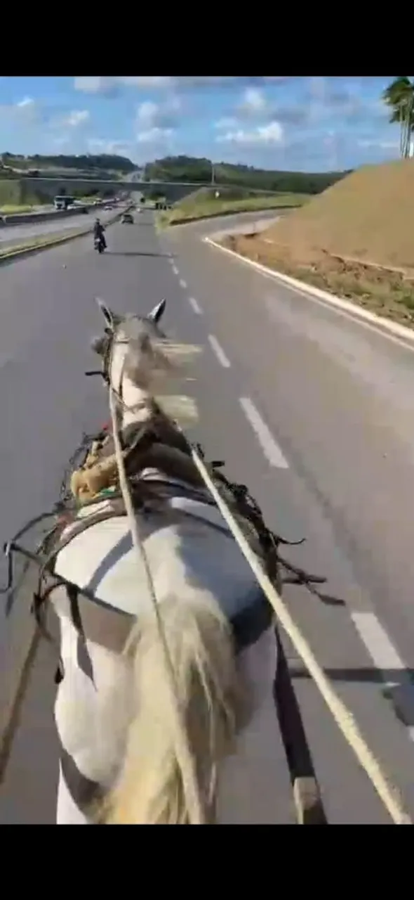 Égua