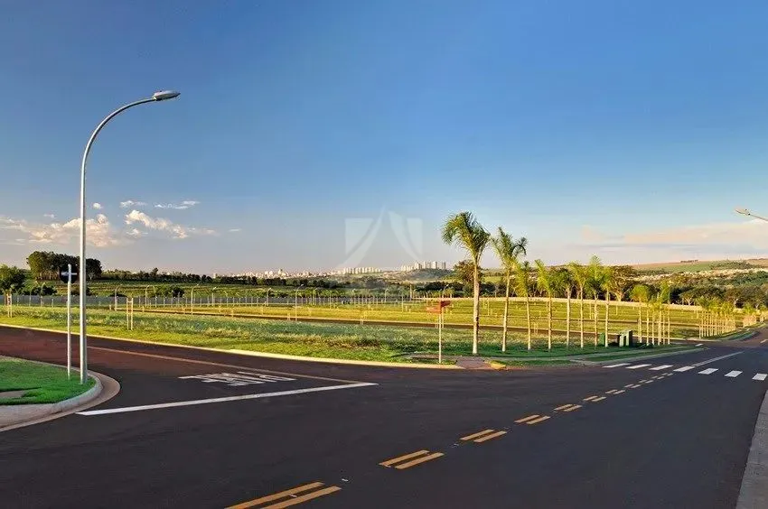 - Ribeirão Preto
