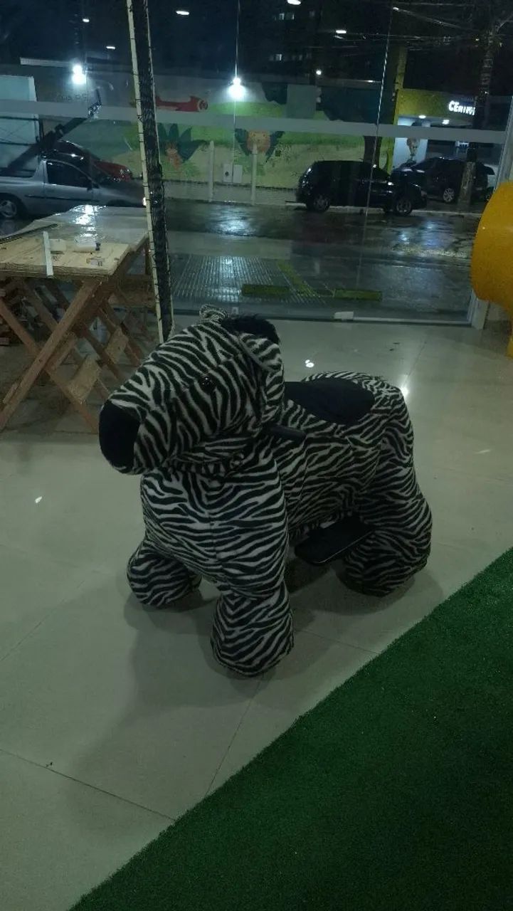 Zebra motorizada  - Foto 4