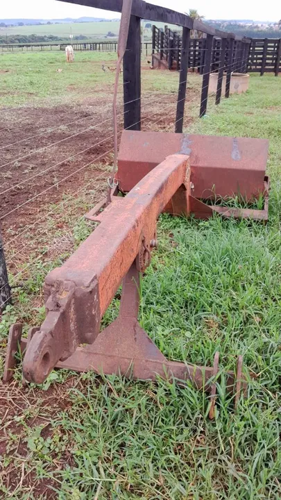 Pazinha