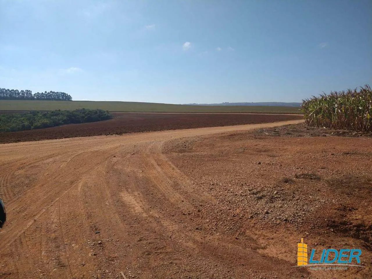 Fazenda à venda, AREA RURAL NO TRIANGULO MINEIRO - MG - Uberlândia/MG - Foto 2