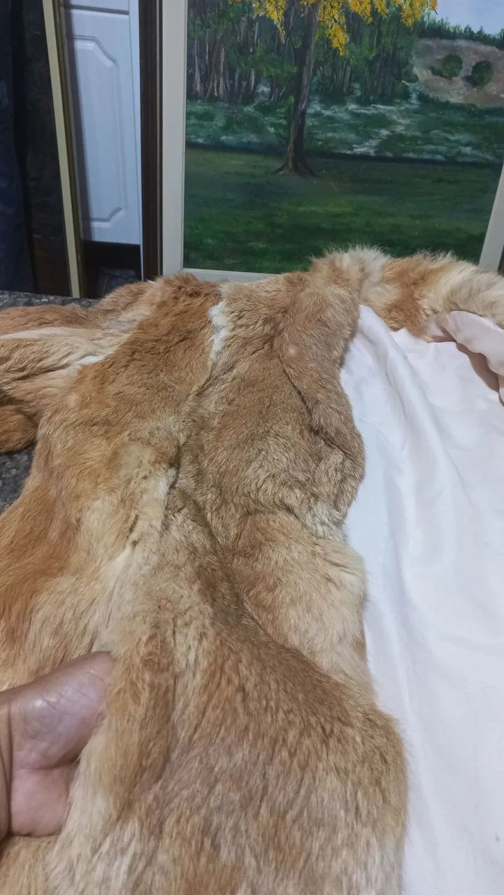 Casaco de pele  genuína marrom tam 48 - Foto 3
