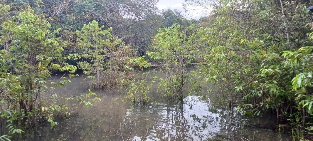 Vendo Fazenda em Santa Terezinha no Mato Grosso