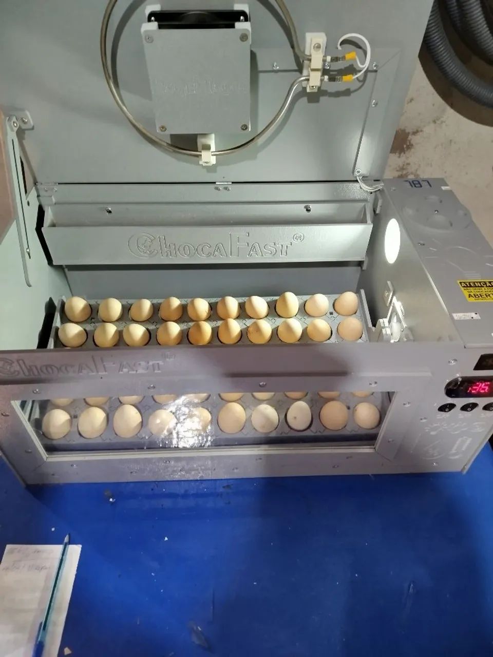 Chocadeira de ovos ChocaFast - Foto 2