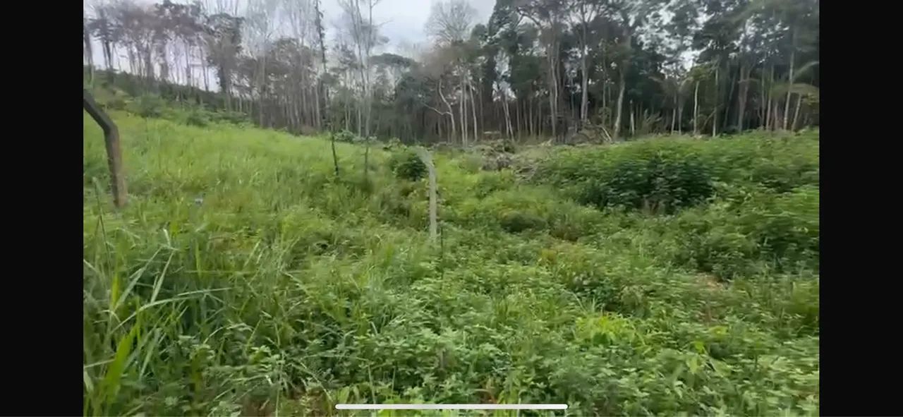 ((> CONDOMÍNIO DE CHÁCARAS 50x100 NO ASFALTO COM PORTEIRA < )) - Foto 3