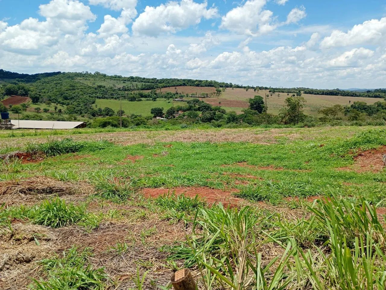 Terreno de 20 mil metros módulo rural  - Foto 3