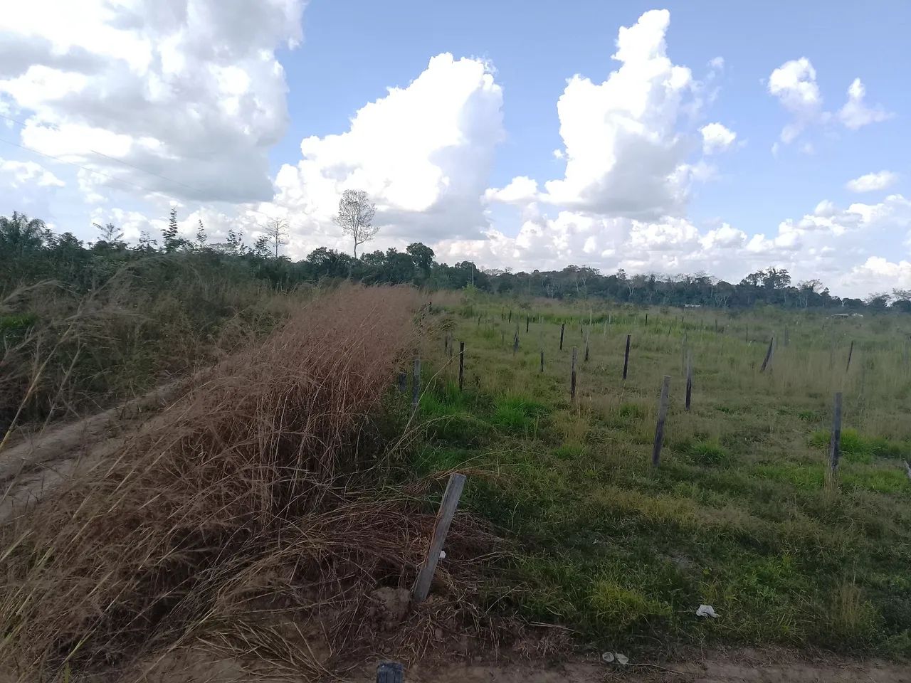 Terra com boa localização  - Foto 2