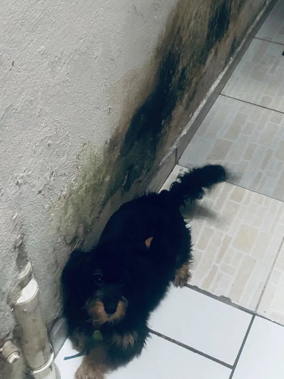 Doação responsável 