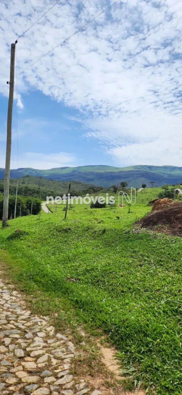 Venda Lote-Área-Terreno São Caetano da Moeda Moeda - Foto 4