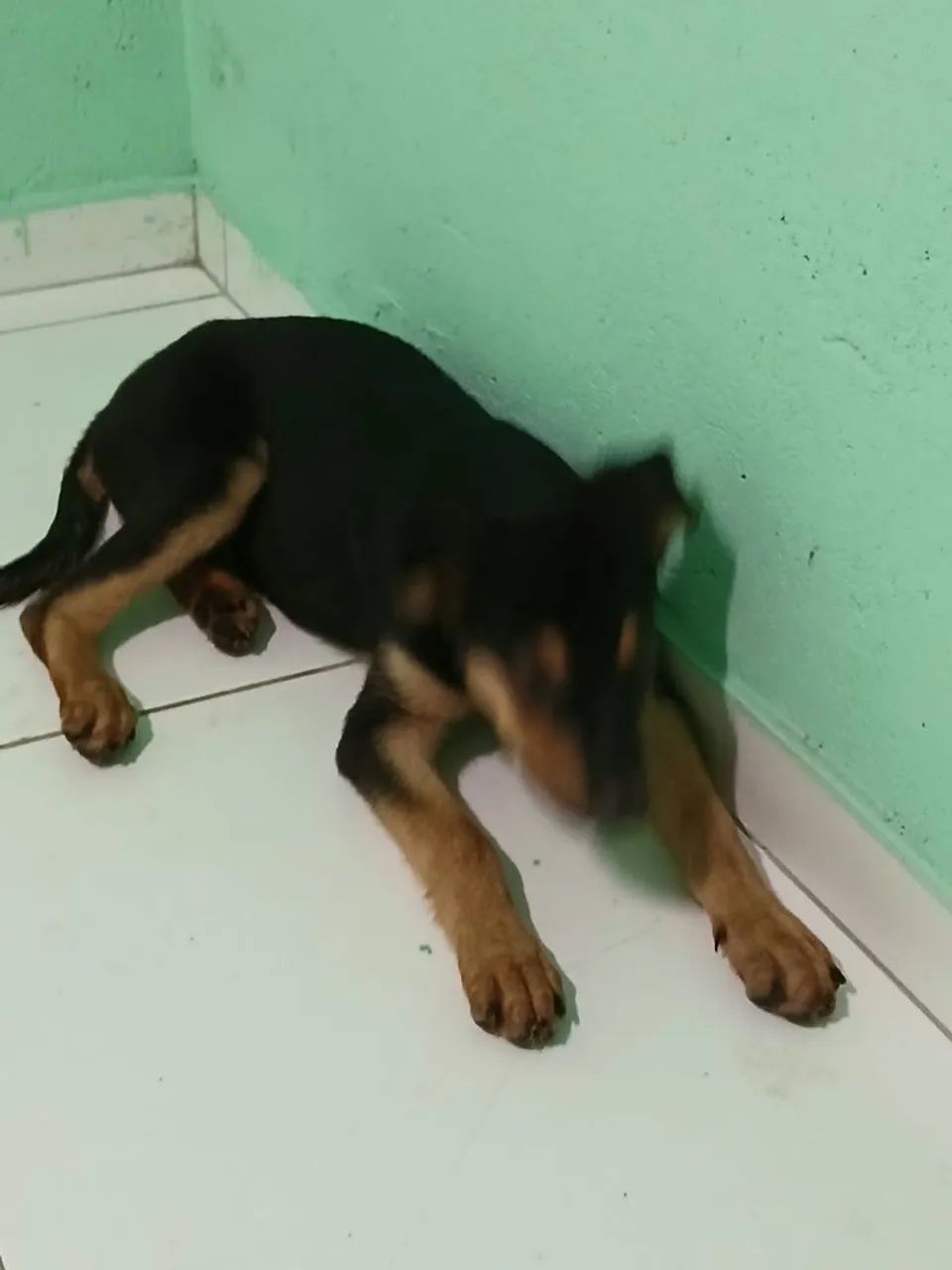 Vende-se  - Foto 4