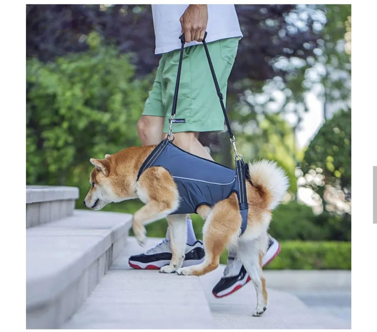 Arnês suporte para mobilidade de cães 