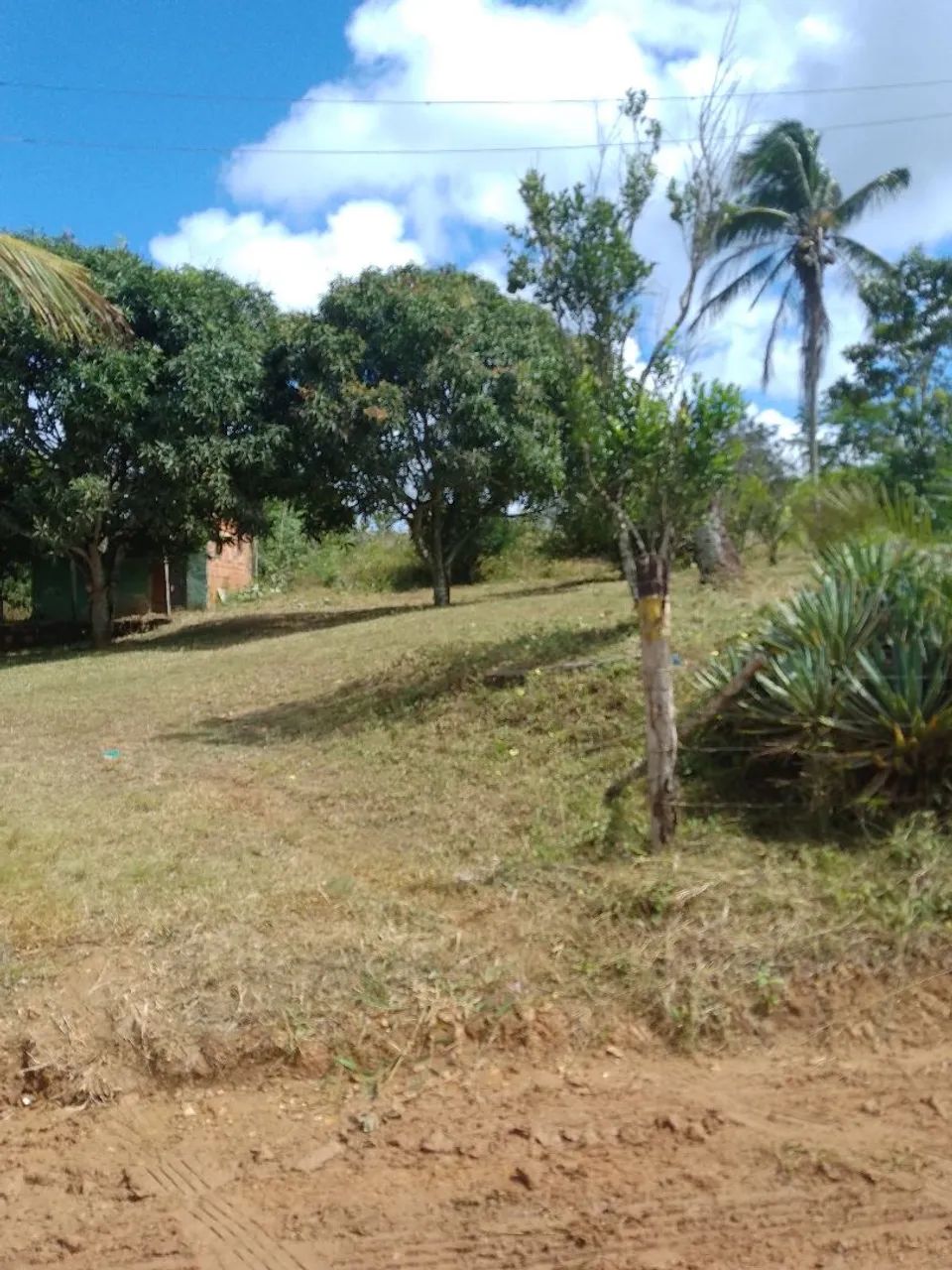 Sitio em salgado-se - Foto 2