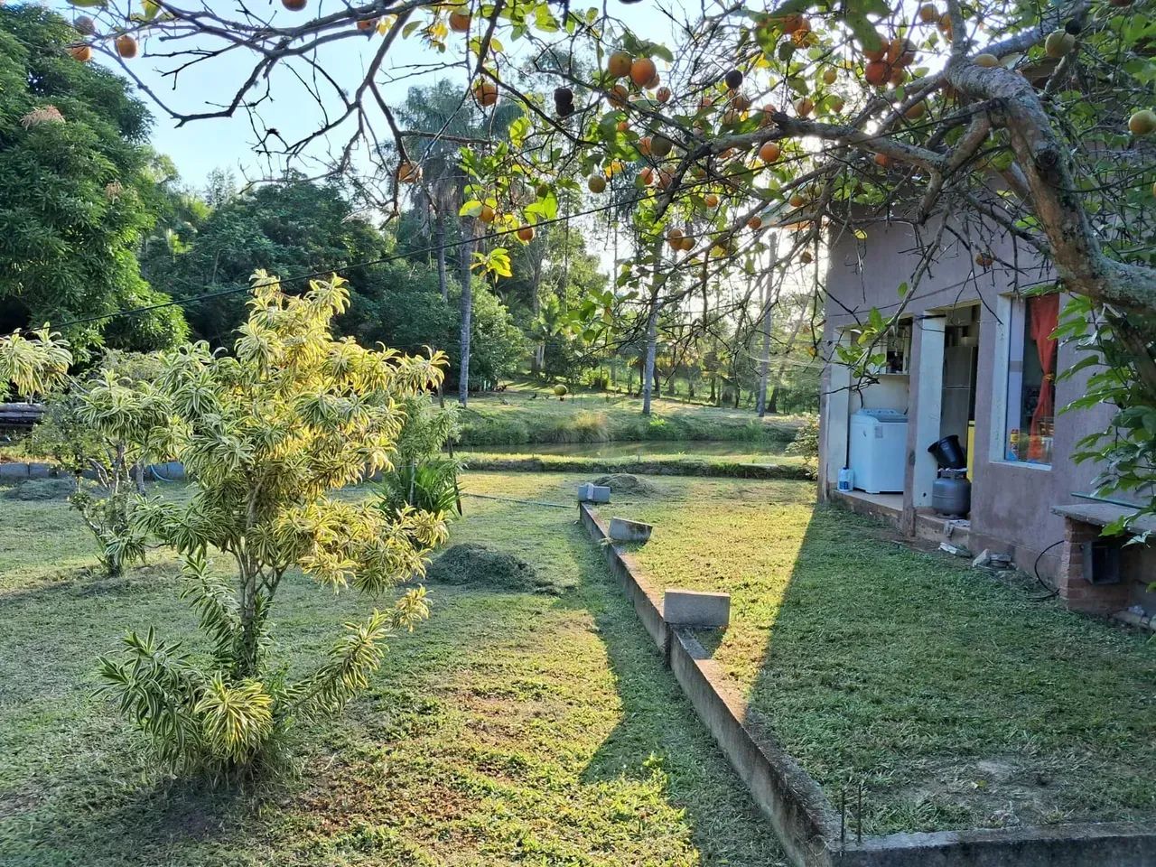 Excelente Sítio para lazer e produção à 20 minutos do centro de Itaboraí - Foto 5