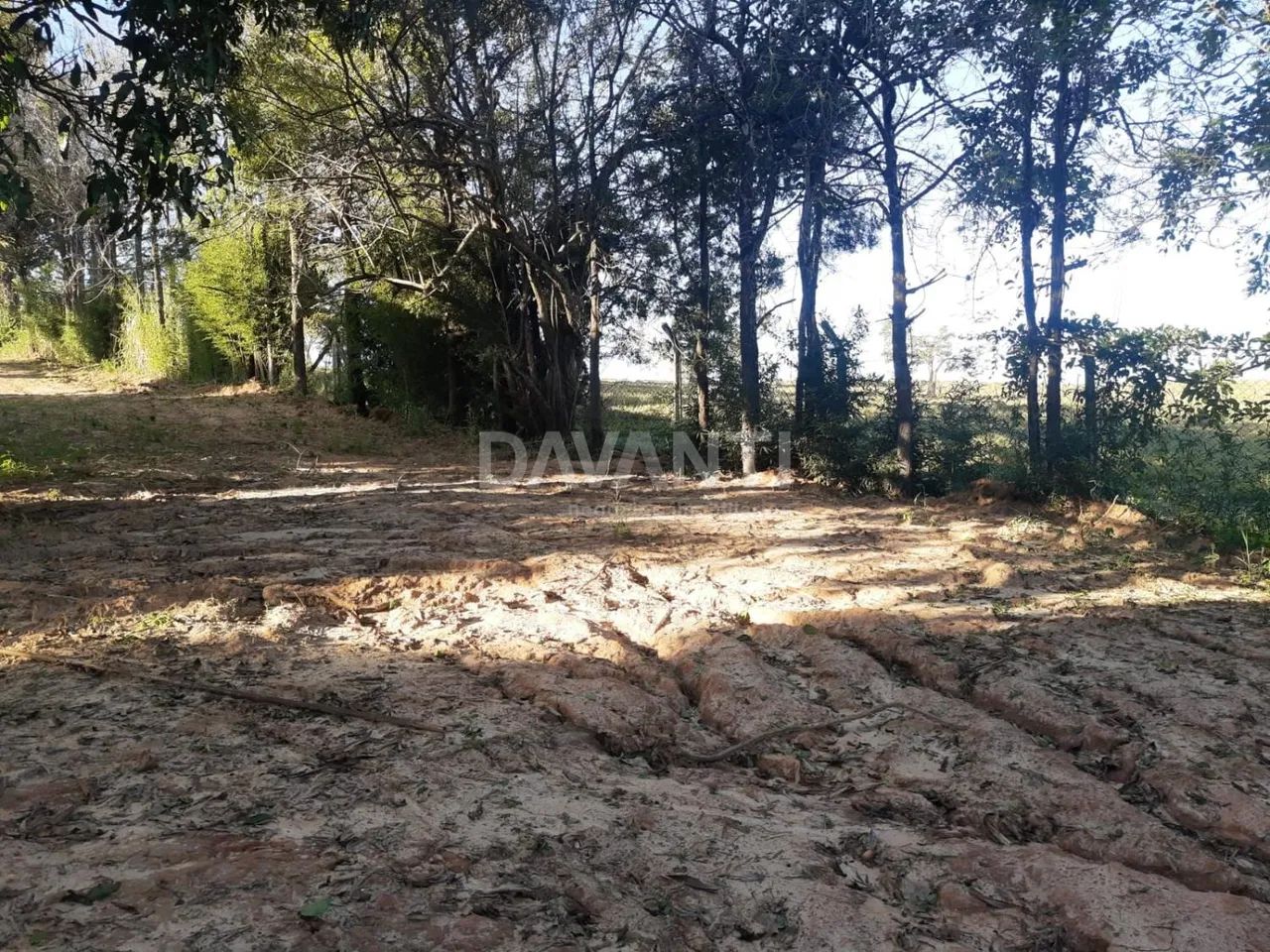terreno - Parque Xangrilá - Campinas - Foto 4