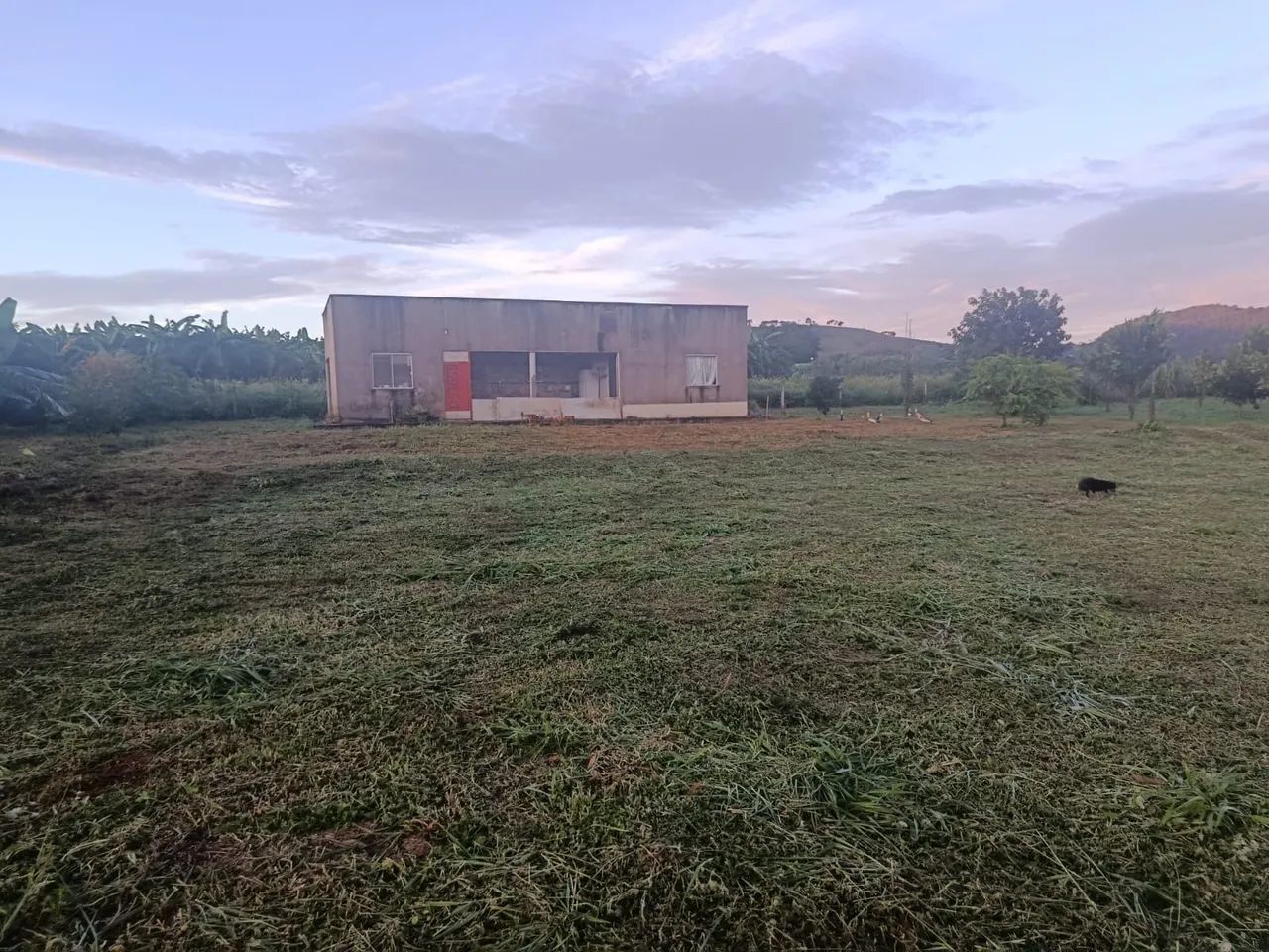 Excelente chácara a 7 km de ouro verde - Foto 2