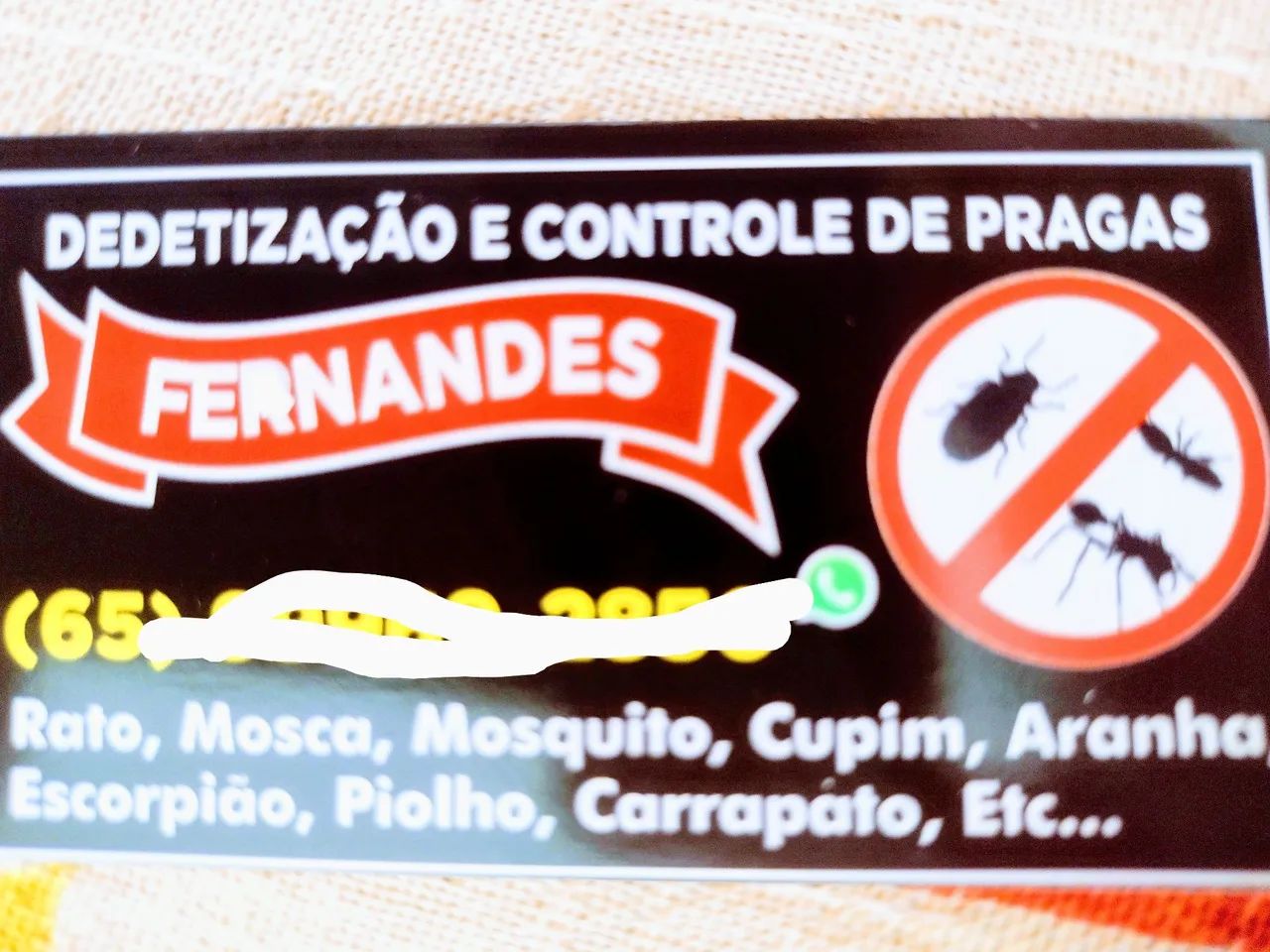 Dedetização e Controle de Pragas - Foto 2