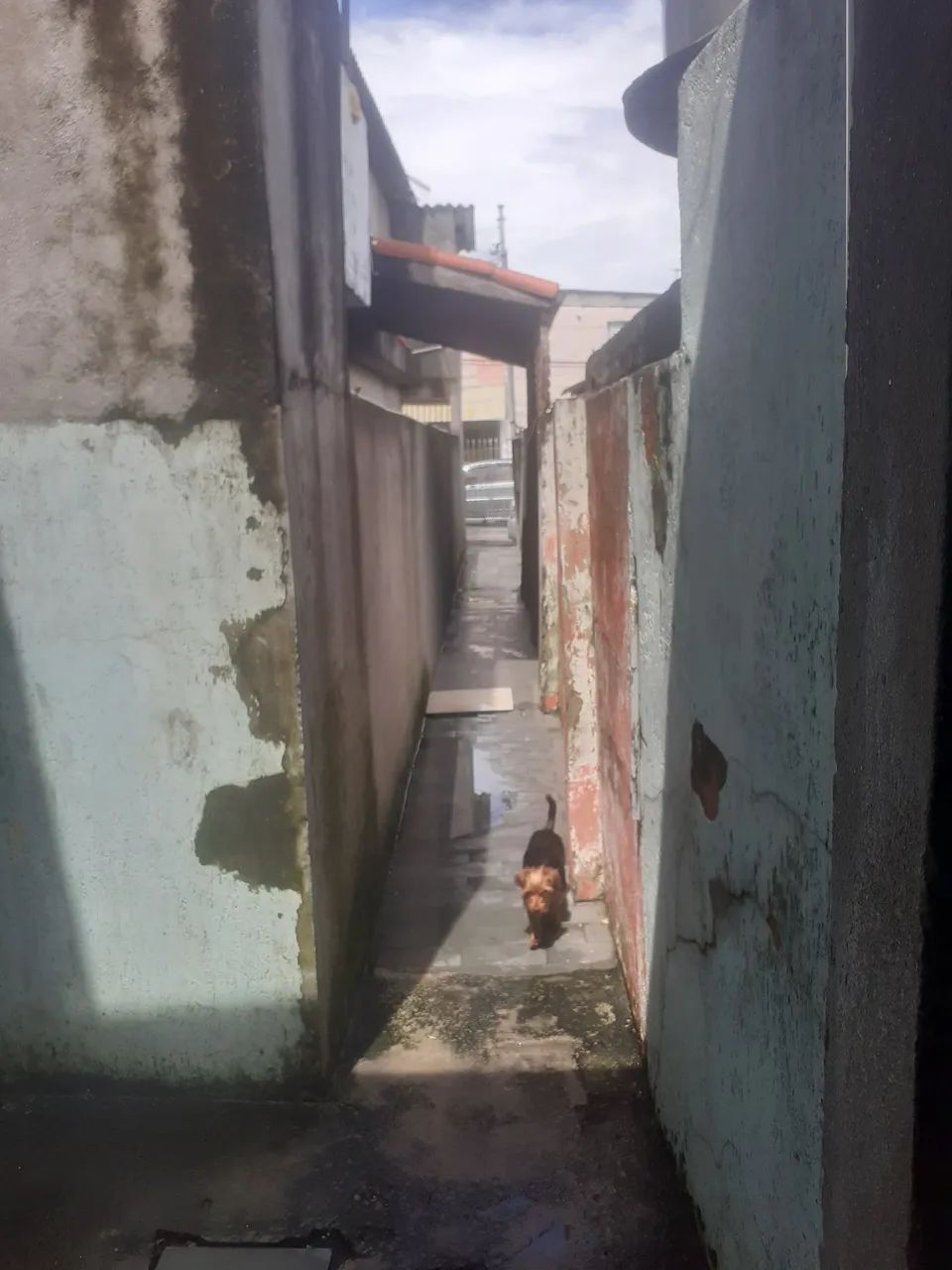 Foto - São Paulo - Vila Ponte Rasa