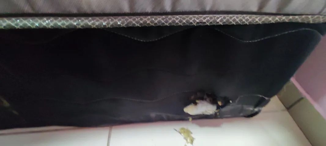 Cama - Foto 3