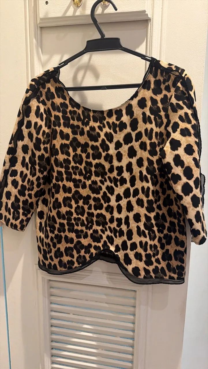 Zara  - Foto 2
