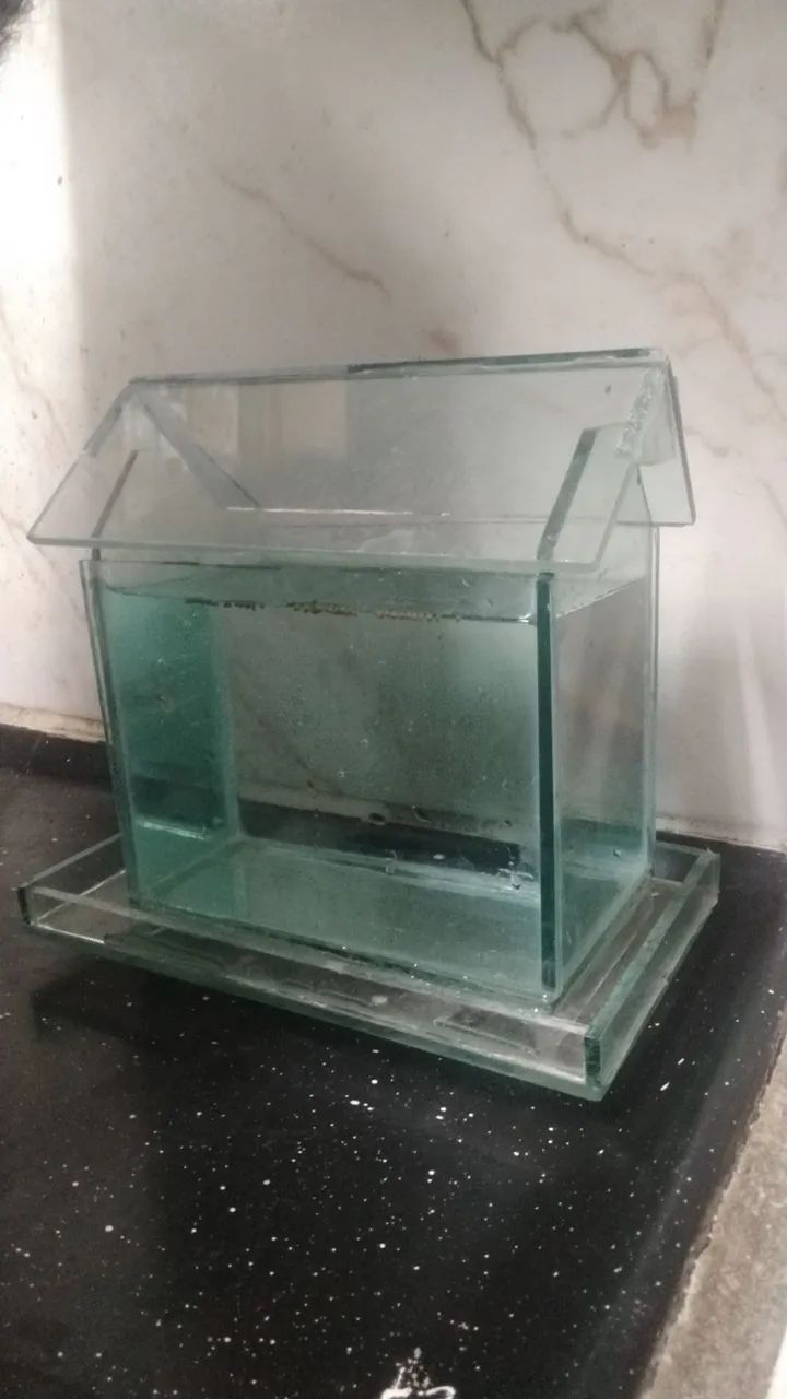 Aquário com 1 peixe ? - Foto 3