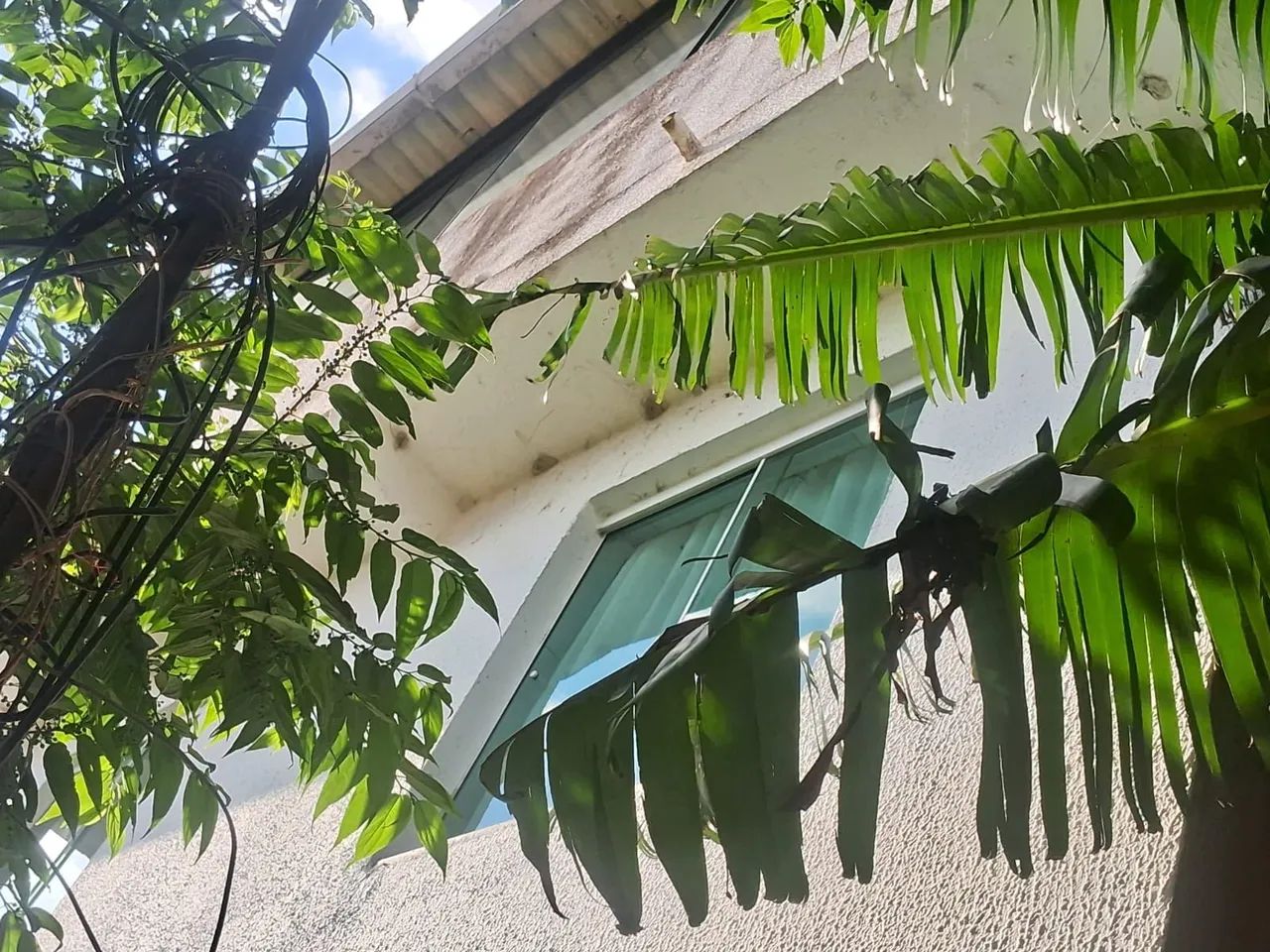Foto - São Paulo - Parque Taipas