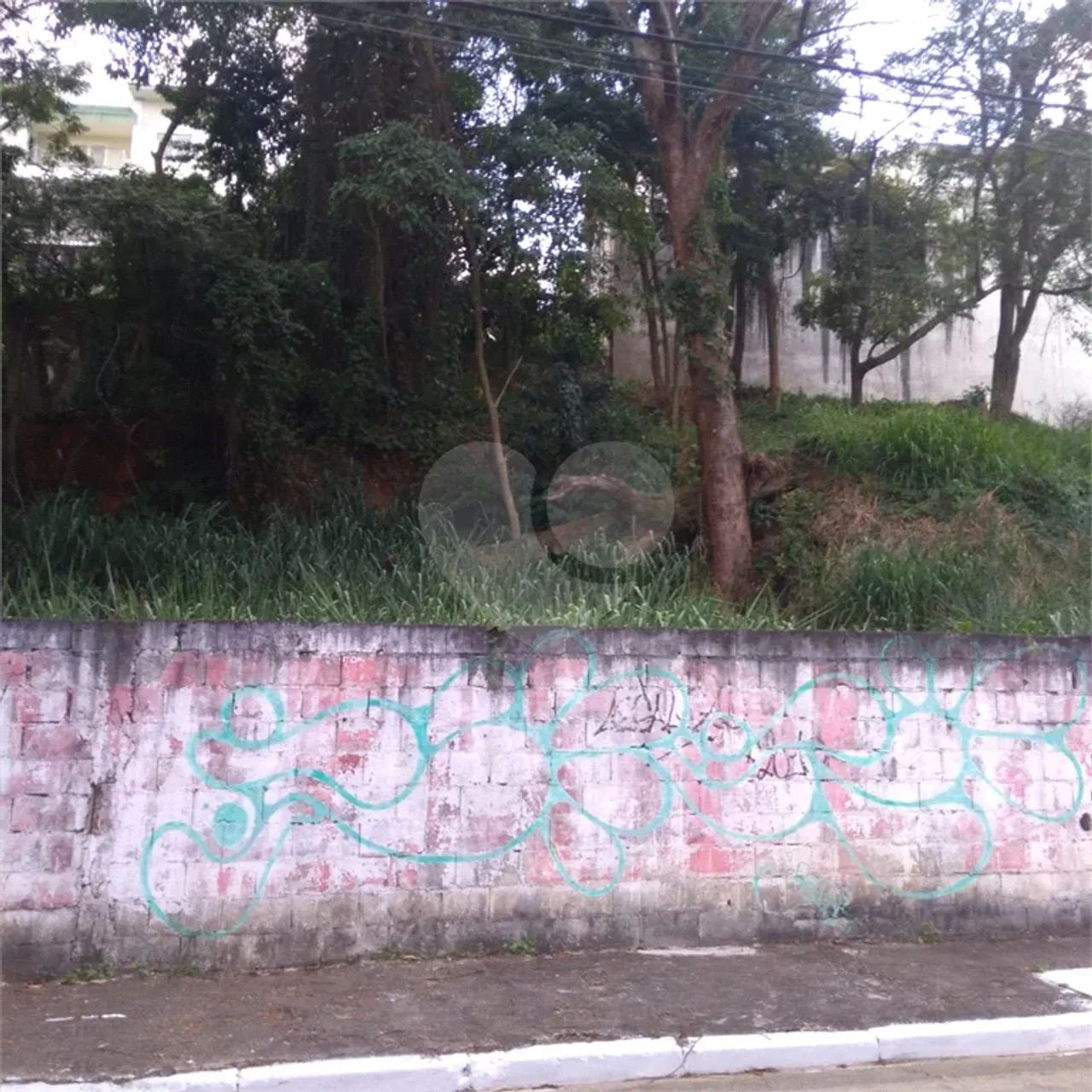 Terreno Jardim Bibi Oportunidade - Foto 4