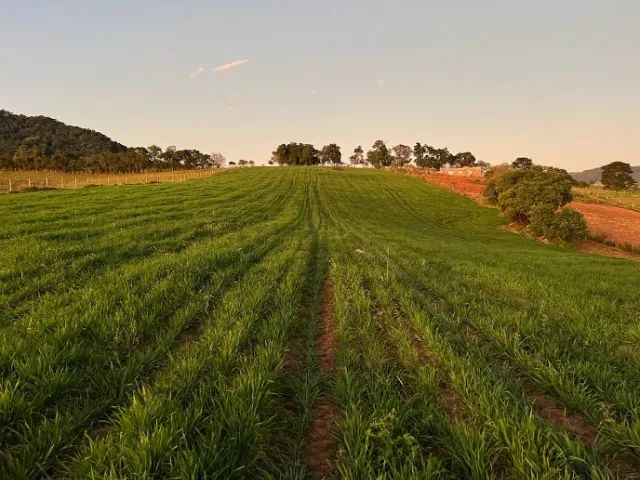 VENDO OU PERMUTO Terreno 22.800 m2 em Pardinho - Foto 4