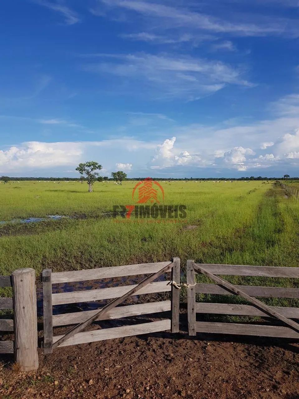 FAZENDA EM COCALINHO - MT - Foto 3