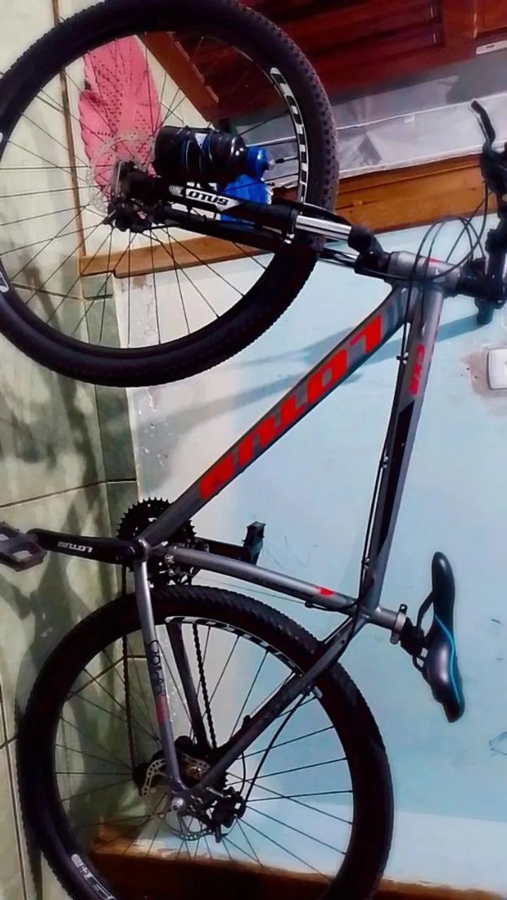 Bicicleta Lotus cinza 