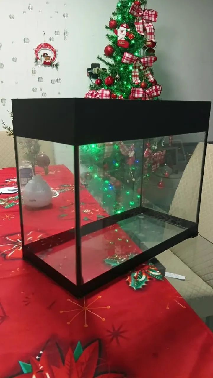 Aquário  - Foto 4