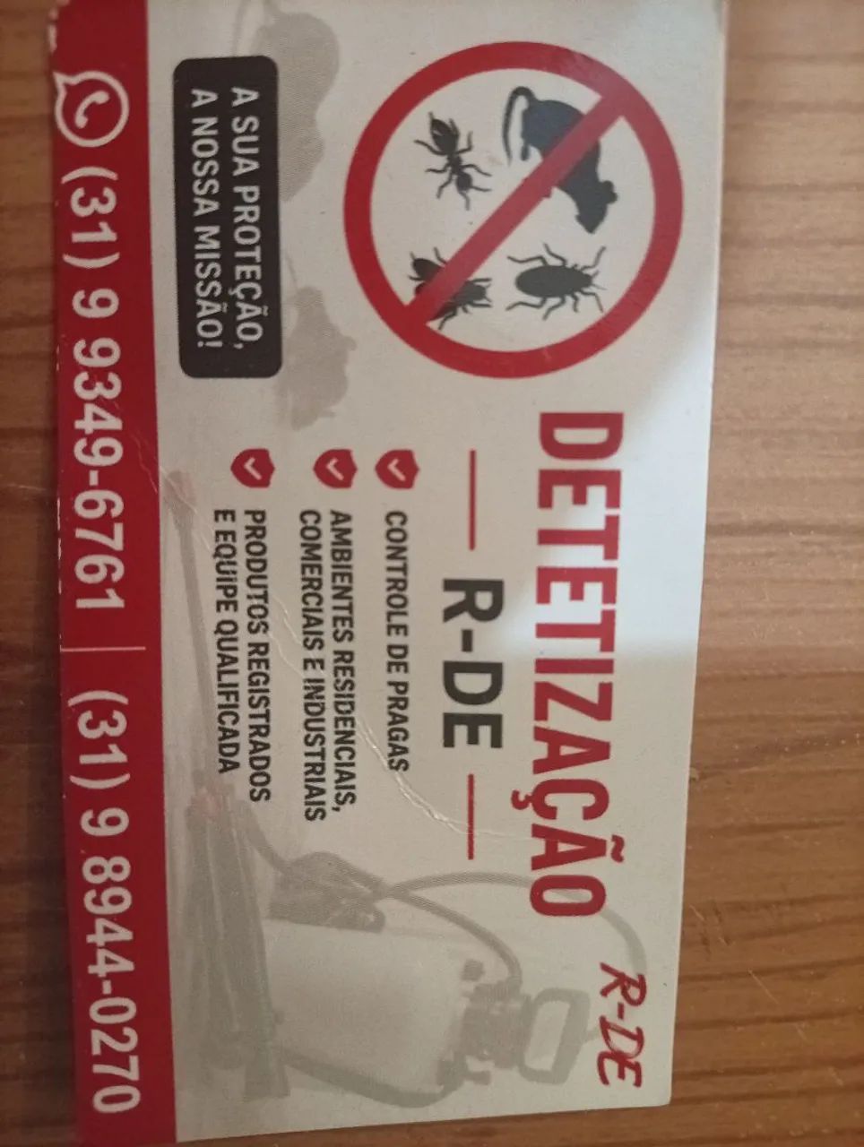 Detetização essetos 