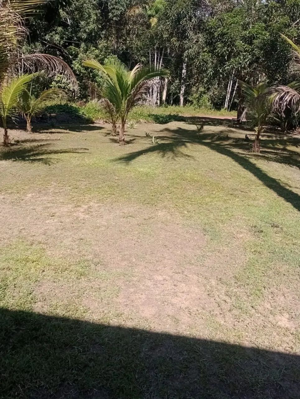 Sítio Ramal Boa Sorte - Rio Preto da Eva  - Foto 5