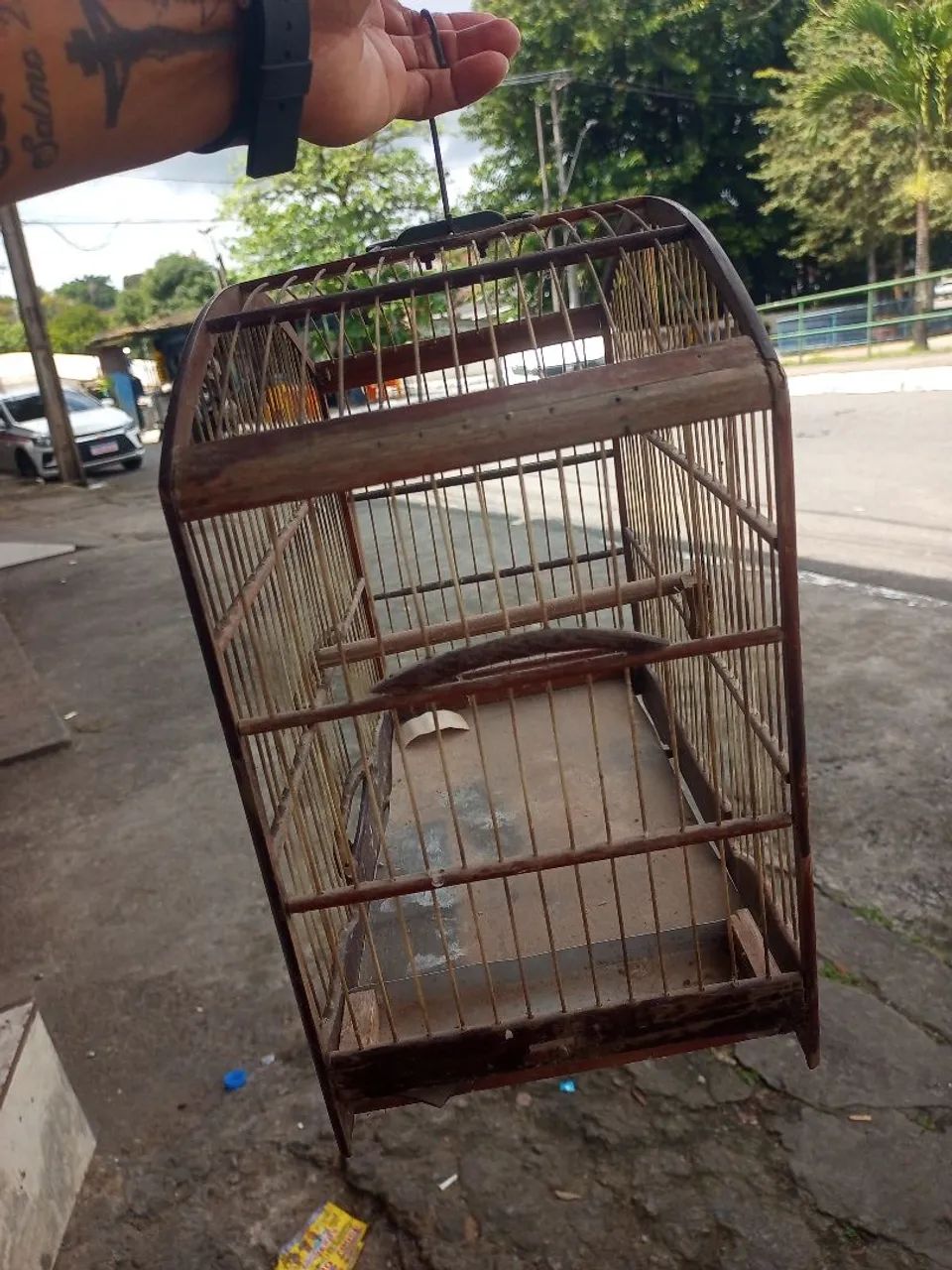Gaiola Para Papacapim  - Foto 2