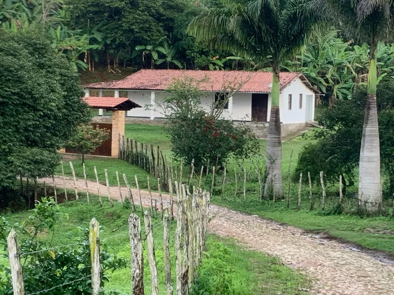 Sítio disponível a venda em guaramiranga! - Foto 5
